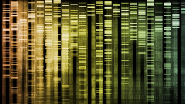 Was wüssten Sie gerne, wenn ihr Genom aufgeschlüsselt würde? (Bild: kentoh/Fotolia)