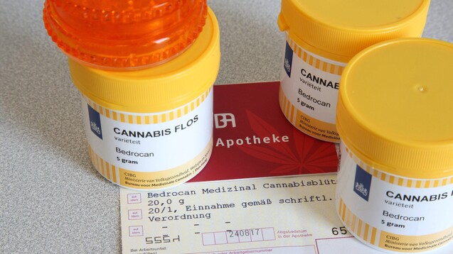Nun gibt es Cannabis vom BfArM: Das Bundesinstitut für Arzneimittel und Medizinprodukte hat am 7. Juli 2021 den staatlichen Verkauf von Cannabis zu ausschließlich medizinischen Zwecken an Apotheken gestartet. (Foto: IMAGO / epd)