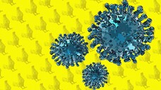 Der neue Grippewirkstoff Baloxavir soll auch bei Tamiflu-resistenten Influenzaviren und bei Vogelgrippe wirken. (b / Foto: imago)