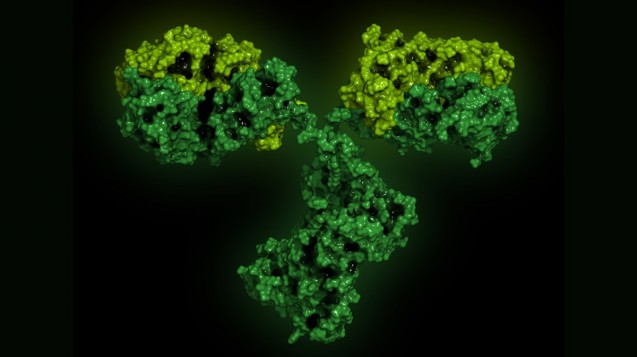 Novartis-Tochter Sandoz will das Biosimilar-Portfolio um einen weiteren Antikörper ergänzen. (Foto:  molekuul.be / Fotolia)
