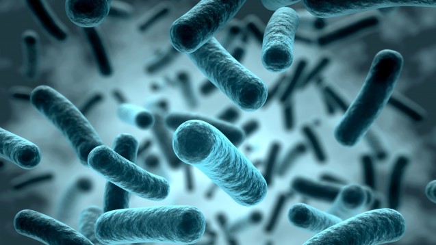 Ein Bakterien-Wirkstoff hilft gegen das Bakterium, das Tsutsumagushi-Fieber verursacht. (Bild: Norman Blue / stock.adobe.com)