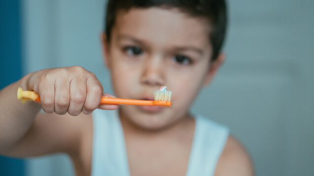 Ab dem zweiten Geburtstag soll zweimal täglich mit einer erbsengroßen Menge Zahnpasta mit 1.000 ppm Fluorid-Gehalt geputzt werden.&nbsp;(x / Foto: LIGHTFIELD STUDIOS / AdobeStock)