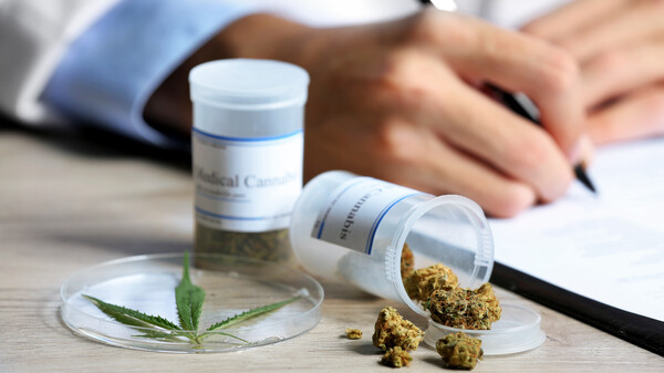 Nebenwirkungen von Cannabisarzneimitteln im Vergleich