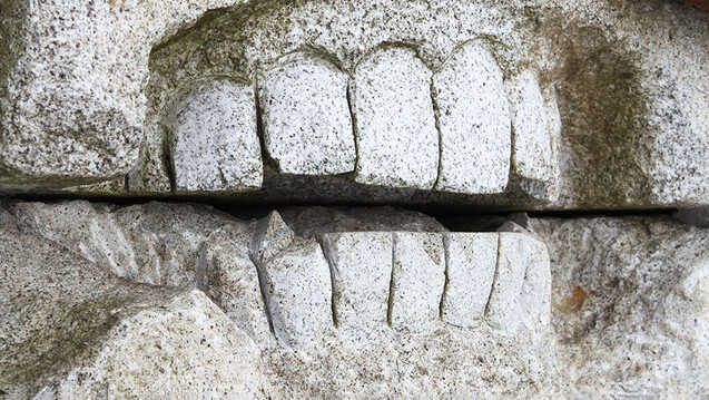 Ist Ibuprofen bei Zahnschmerzen das beste Schmerzmittel? (Foto: Gekon / stock.adobe.com)