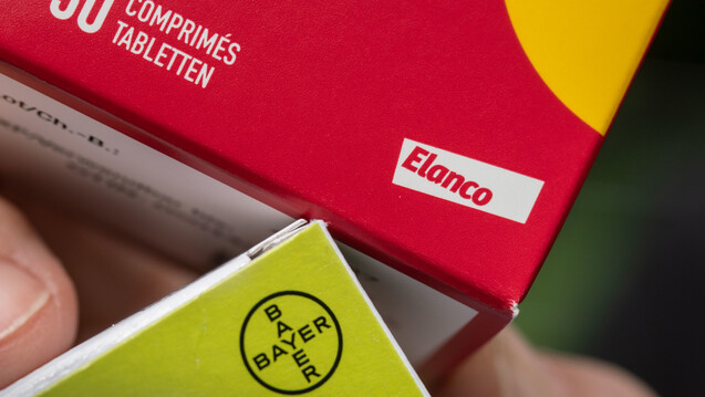 Der Pharmakonzern Bayer wird seine Tierarzneimittel-Sparte an den US-Konzern Elanco verkaufen. Der Kaufpreis: 7,6 Milliarden US-Dollar. (Foto: dpa)