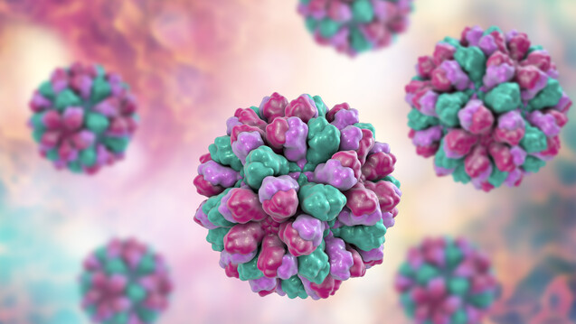 Im Cluster gefährlicher: Noroviren. (c / Foto: Kateryna_Kon / stock.adobe.com)