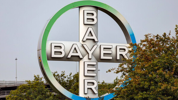 Wegen Monsanto-Urteil: Bayer-Aktie fällt um 12 Prozent