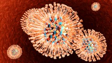 Forscher entdecken neue Angriffspunkte bei Herpes. (Foto:  Spectral-Design / stock.adobe.com)