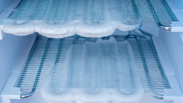 Können kalte Temperaturen Hausstaubmilben abtöten? (Foto: mhp / stock.adobe.com)