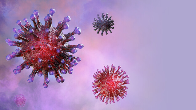 Auch in Deutschland gibt es weitere Fälle des neuartigen Coronavirus SARS-CoV-2. (b/Foto:&nbsp;Corona Borealis / stock.adobe.com)