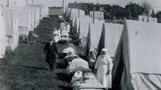 Bis zu 25 Millionen Todesopfer soll die Spanische Grippe 1918 Schätzungen zufolge gefordert haben. Hier ein Notlazarett
in Zelten auf einer Grünfläche in
Brookline, Massachusetts, USA, im Jahr 1918. (Foto: picture alliance / akg)