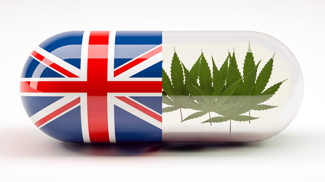 Auch in UK gibt es künftig Cannabis als Medizin. (Foto: fabioberti.it / stock.adobe.com)