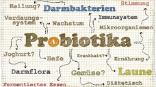 Präbiotika, Probiotika und Symbiotika: Was machen sie und worin unterscheiden sie sich? (c / Foto: T. L. Furrer / stock.adobe.com)