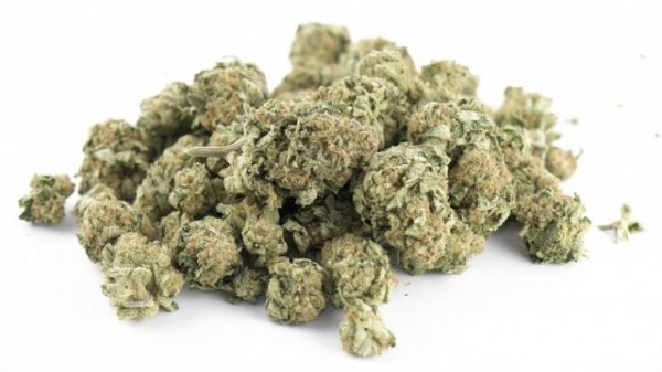 Cannabisblüten jetzt offiziell bei Raumtemperatur zu lagern