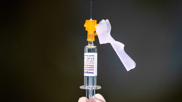 Etwa 25 Millionen Impfdosen wird es in diesem Jahr geben. Noch rechnet das PEI nicht mit Engpässen bei Influenzavakzinen. (Foto: picture alliance / ANP | Sem van der Wal)