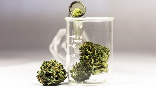 Wenn auf dem Rezept lediglich „10 g Cannabisblüten“ steht, reicht das für eine Belieferung nicht aus. (Foto: Mitch / stock.adobe.com)