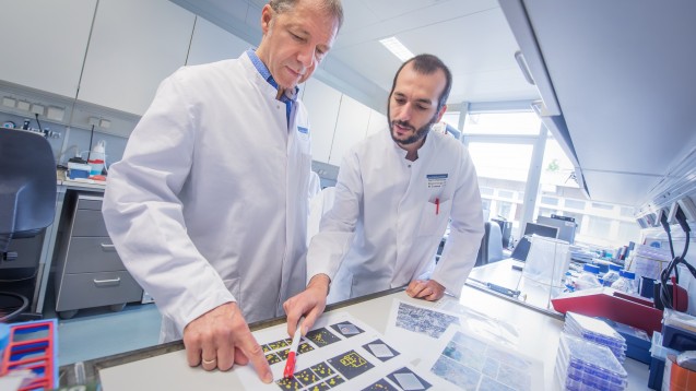 Forschung ist Teamarbeit: Bartenschlager etablierte mit seinen Kollegen Zellkulturen zur Forschung an Hepatitis C. (Foto: Uniklinik Heidelberg)