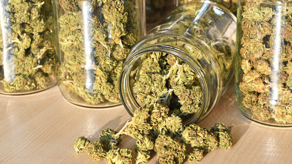 Cannabisproduzent Aphria übernimmt Importeur  CC Pharma