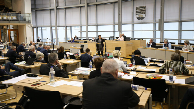 Der Landtag in Sachsen-Anhalt wird heute Abend über einen Antrag der Linksfraktion beraten. Die Abgeordneten fordern darin, die von der AvP-Insolvenz betroffenen Apotheken zu unterstützen. (rh / Foto: imago images / Christian Schroedter)