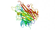 Die Forschung an Tumornekrosefaktor α hat die Therapie mit monoklonalen Antikörpern möglich gemacht. (Foto: ibreakstock / stock.adobe.com)