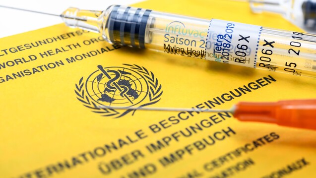 Keine vertraglichen Lösungen, sondern feste Vergütungen in der Arzneimittelpreisverordnung: Das sind die neuen Pläne von Union und SPD in der Impfstoffversorgung. (c / Foto: imago)