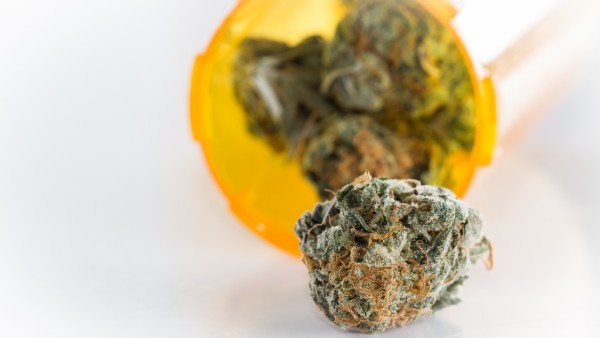 Apotheken-Aufschlag für Cannabis „unangemessen hoch“