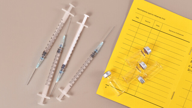 Seit Mai empfiehlt die WHO an Omikron XBB.1.5 angepasste Impfstoffe. „Passen“ diese denn immer noch zum Infektionsgeschehen? (Foto: Firn / AdobeStock)