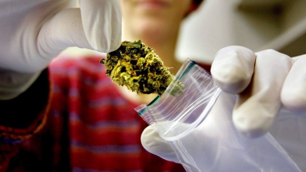 Erste Cannabis-„Apotheke“  eröffnet in den USA
