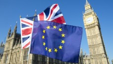 Durch den Brexit stehen der EMA nicht mehr die Ressourcen und
Kompetenzen der britischen Zulasungsbehörde zur Verfügung. Der vfa befürchtet Konsequenzen. (Foto:                             
                                    


                                    lazyllama

                                    
                            / stock.adobe.com)