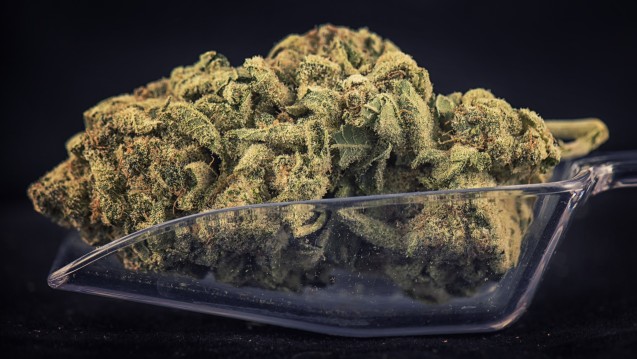 Laut den Zahlen von QuintilesIMS gaben Apotheken im Mai rund 6.500 Mal Cannabis-Präparate auf Kassenrezept ab. (Foto: rgbspace / stock.adobe.com)