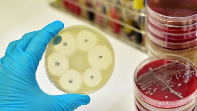 Resistente Keime sind ein immer größeres Problem. Die WHO will nun der Erforschung neuer Antibiotika eine Richtung geben. (Foto: jarun011 / Fotolia)