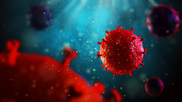 Das Humane Immundefizienz-Virus kann in zwei Typen unterteilt werden: HIV-1 und HIV-2. Von HIV-1 gibt es vier Untergruppen: M, N, O und P. (Foto: artegorov3@gmail / stock.adobe.com)