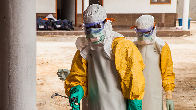 Im Osten Kongos wurde ein fast zwei Jahre dauernder Ebola-Ausbruch mit 2.299 Toten im vergangenen Juni für beendet erklärt, doch Anfang Februar wurde dort ein neuer Fall registriert.&nbsp;Dies ist der inzwischen zwölfte Ausbruch von Ebola im Kongo.&nbsp;(Foto: Pierre Borghi / stock.adobe.com)