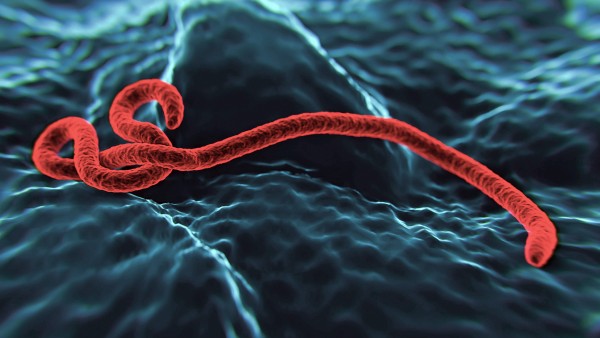Ebola-Katastrophe im Kongo abgewendet?