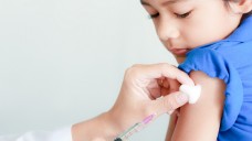 Auf den Philippinen wurde Anfang Dezember
das landesweite Dengue-Impfprogramm für rund 700.000 Kinder abgebrochen. (Foto: Sura Nualpradid / stock.adobe.com) 