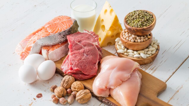 Proteinreiche Lebensmittel müssen nicht unbedingt tierischer Natur sein, auch Linsen, Erbsen und Soja enthalten hohe Mengen des Makronährstoffs. (Foto: anaumenko / AdobeStock)