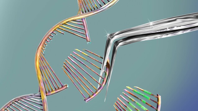 Der Neurowissenschaftler und Crispr-Pionier Feng Zhang warnt im Handelsblatt davor, die revolutionäre Technik der Genschere zur DNA-Veränderung von Embryonen zu missbrauchen. (m / Foto: imago images / Science Photo Library)