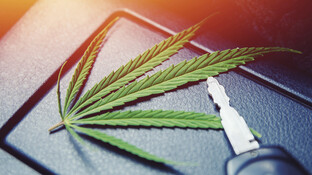 Droht Cannabis-Patienten der Führerscheinentzug?