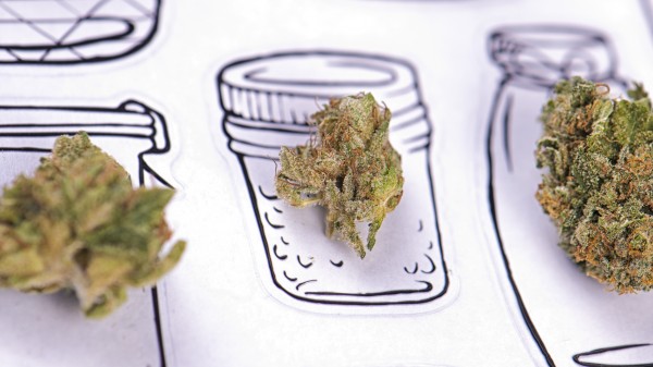 Bundesweite Lieferengpässe bei Cannabis