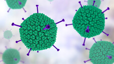 Könnten Kinder nach den Kontaktbeschränkungen durch die COVID-19-Pandemie anfälliger für Adenoviren sein? (Kateryna_Kon / AdobeStock)