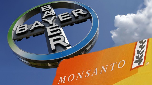 Bayer-Monsanto-Fusion