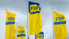 Auch die FDP hat Fragen an die Bundesregierung zum Rx-Versandverbot. (Foto:dpa)