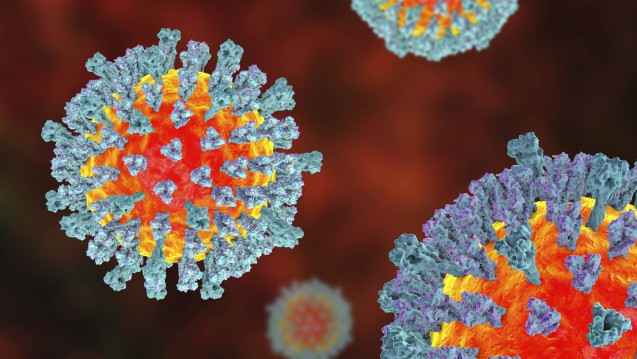 Masernviren sind extrem ansteckend . (Foto: imago / science photo library)