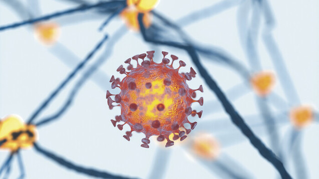 SARS-CoV-2 führt auch zu neurologischen Störungen. (s / Foto: Vink Fan / stock.adobe.com)
