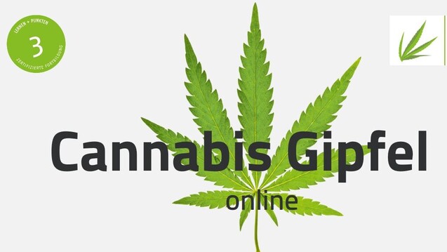 Im Juni wird es mit dem „Cannabis Gipfel online“ einen digitalen Fortbildungsmonat geben. (c / Foto: Screenshot)&nbsp;