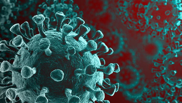 Wie können Coronaviren Artenschranken überwinden?