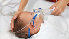 RSV ist einer der bedeutendsten Erreger von Atemwegsinfektionen bei Säuglingen. (Foto: zilvergolf / AdobeStock)