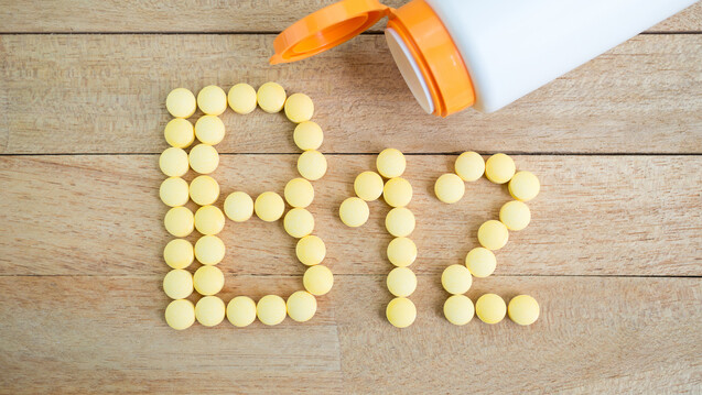 Der menschliche Körper kann Vitamin B12 nicht selber produzieren und ist deshalb auf eine ausreichende Zufuhr angewiesen. Meist gelingt das über die Nahrung (c / Foto: natchas / stock.adobe.com)