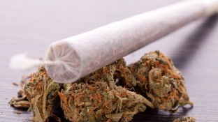 Kein Waffenschein für Cannabis-Patienten 