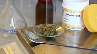 Neue Sonder-PZN für Cannabis ab 1. April